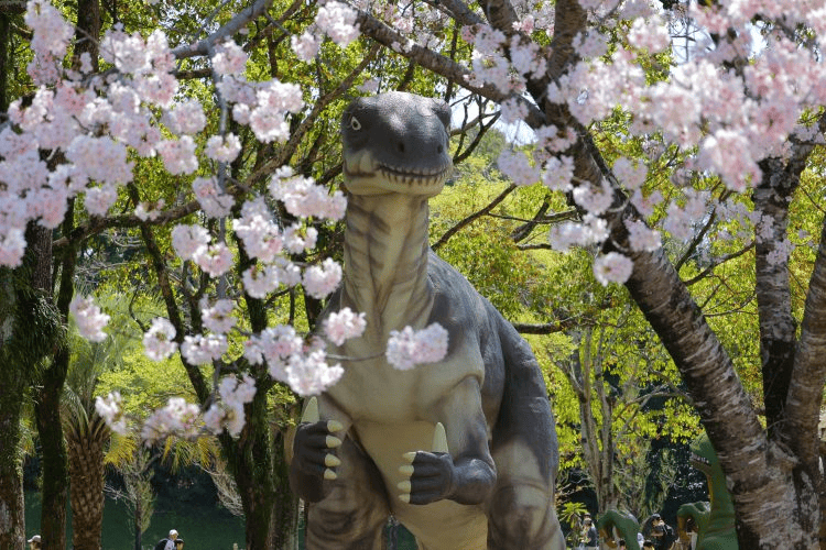 のんほいパークお花見