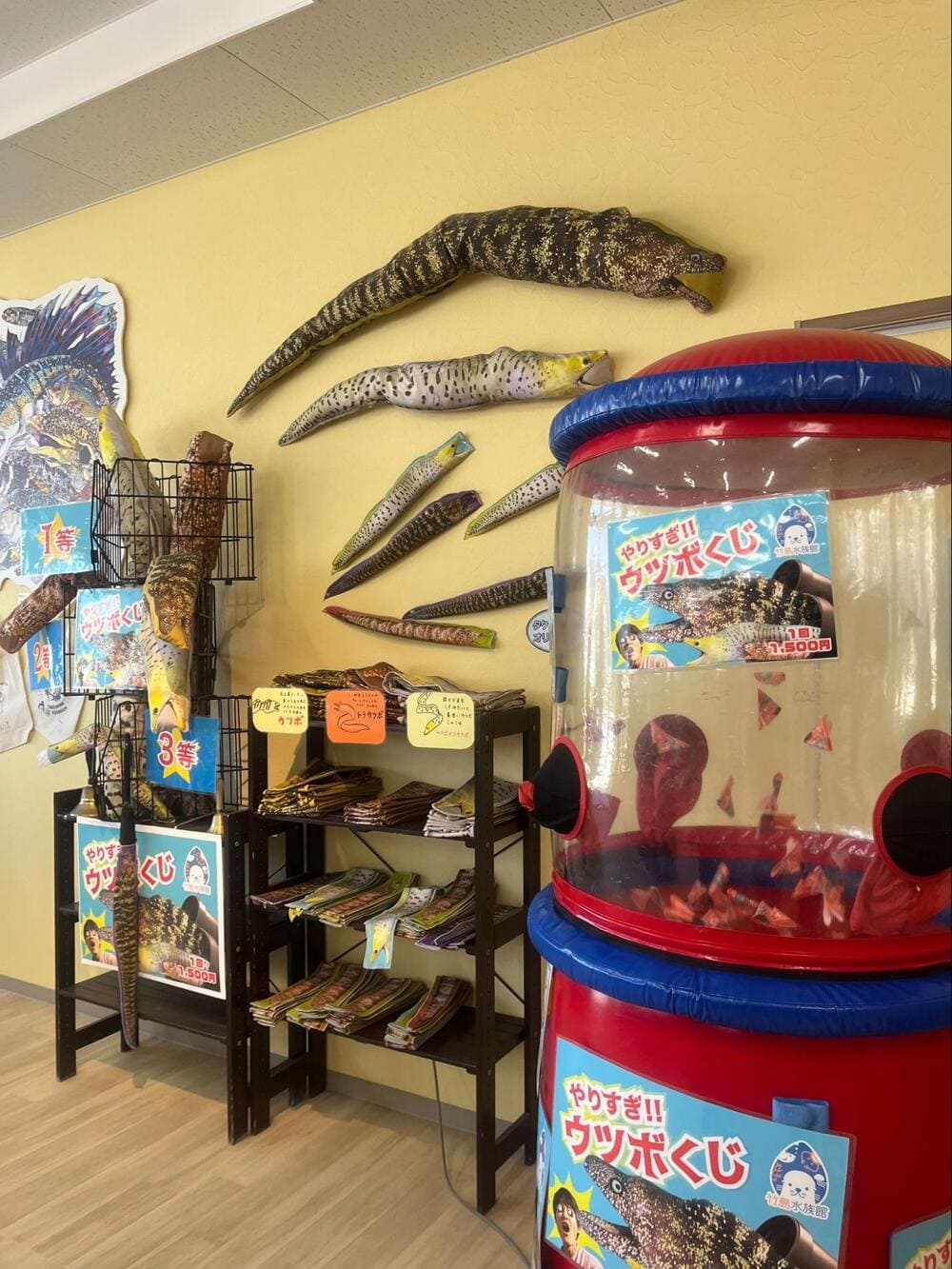 竹島水族館リニューアル_ウツボくじ