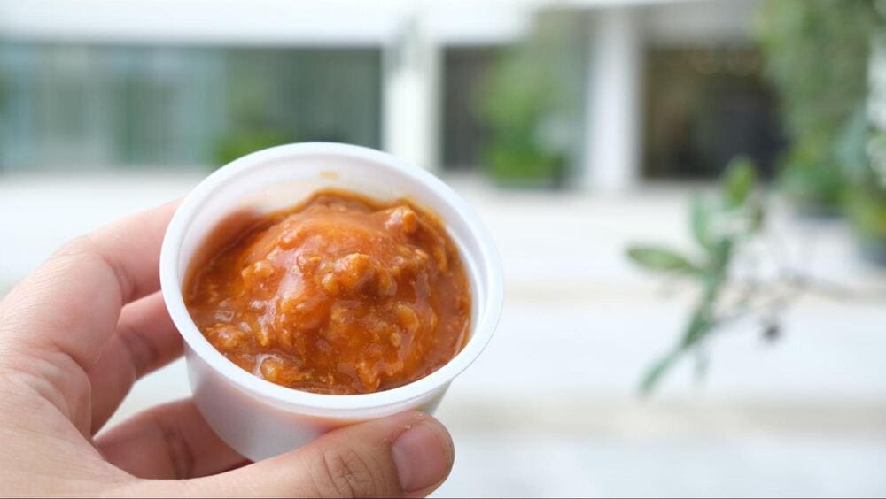 カレー試食会の様子