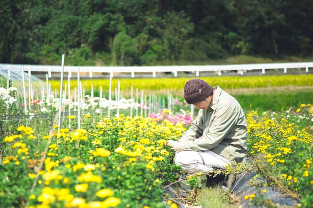 Uターン転職_デメリット