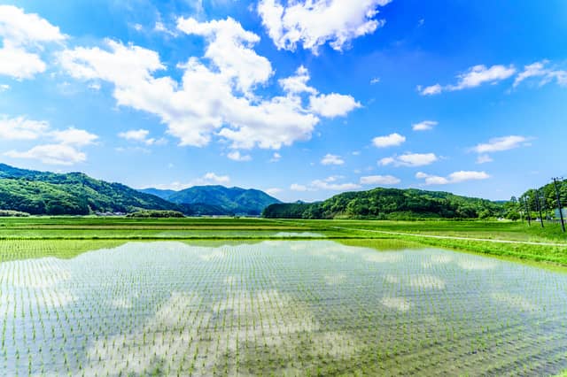 Uターン転職とは