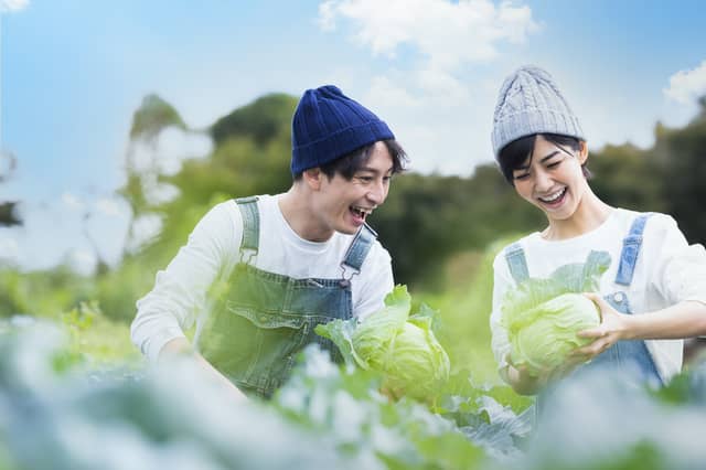 Uターン転職_メリット