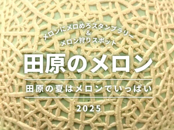 2025年田原市メロン