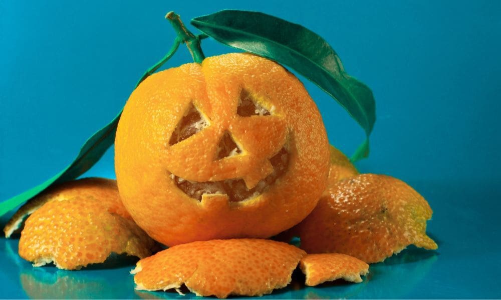 蒲郡のハロウィンイベント